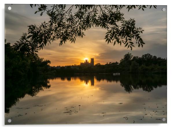 Sunset from Roswell Pits Nature Reserve, looking towards Ely Cat Acrylic by Andrew Sharpe