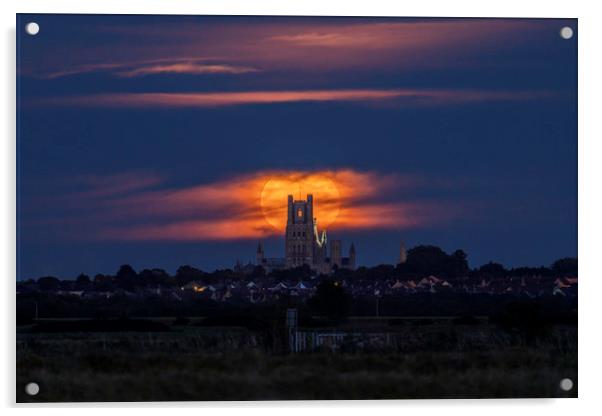 Harvest Moon rising behind Ely Cathedral Acrylic by Andrew Sharpe