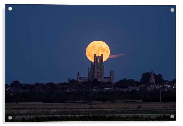 Harvest Moon rising behind Ely Cathedral, Cambridg Acrylic by Andrew Sharpe