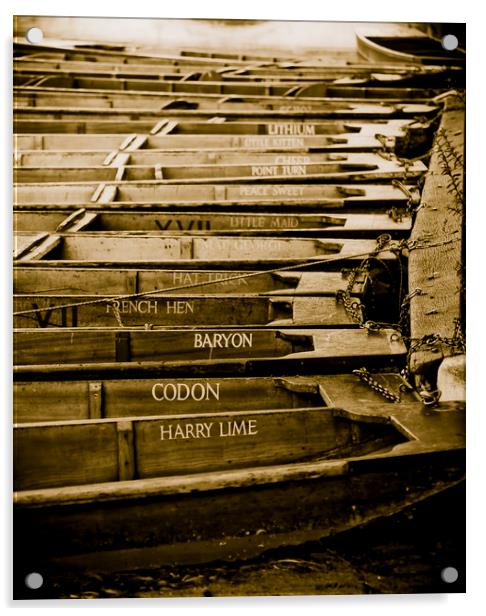 Punts outside Trinity College, Cambridge Acrylic by Andrew Sharpe