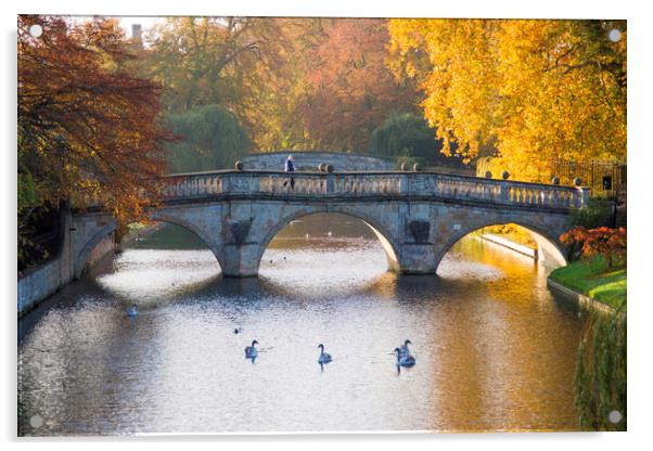 Clare College Bridge, Cambridge Acrylic by Andrew Sharpe
