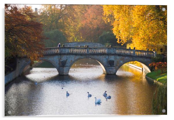 Clare College Bridge, Cambridge Acrylic by Andrew Sharpe