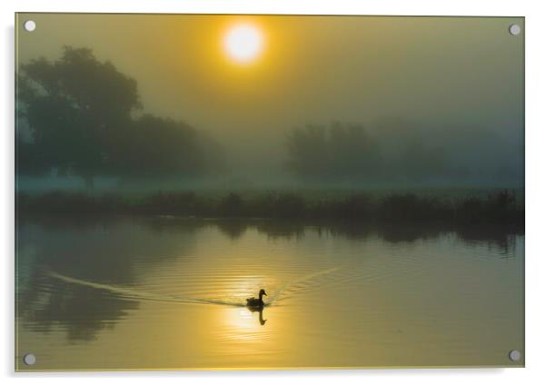 Misty fenland morning on the River Ouse, Ely, Cambridgeshire Acrylic by Andrew Sharpe