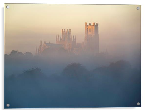Ely Cathedral, from Roswell Lakes Acrylic by Andrew Sharpe