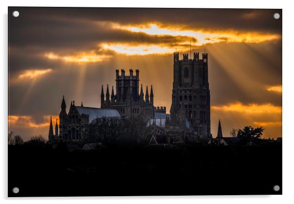 Ely Cathedral, from Roswell Pits, Cambridgeshire Acrylic by Andrew Sharpe