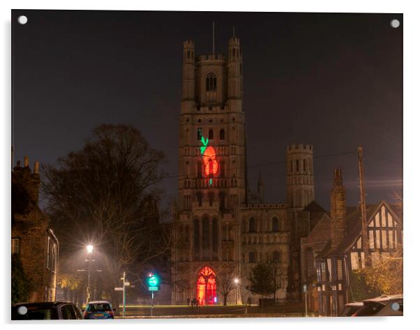 Giant Poppy projected onto Ely Cathedral for Remembrance Sunday, 8th November 2020 Acrylic by Andrew Sharpe