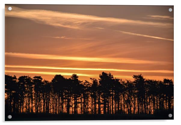 Sunrise over Shropshire  Acrylic by James Sedgemore