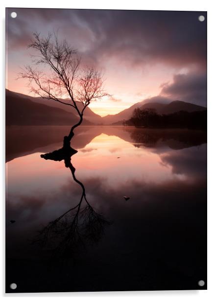 Llyn Padarn sunrise Acrylic by Andy Davis