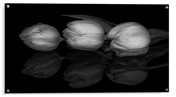 Three Tulips  Acrylic by Julia Watkins