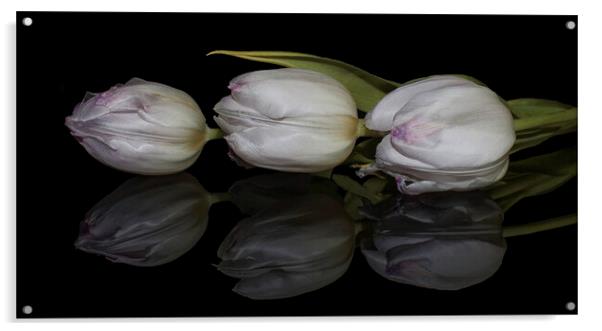 three tulips and reflection Acrylic by Julia Watkins