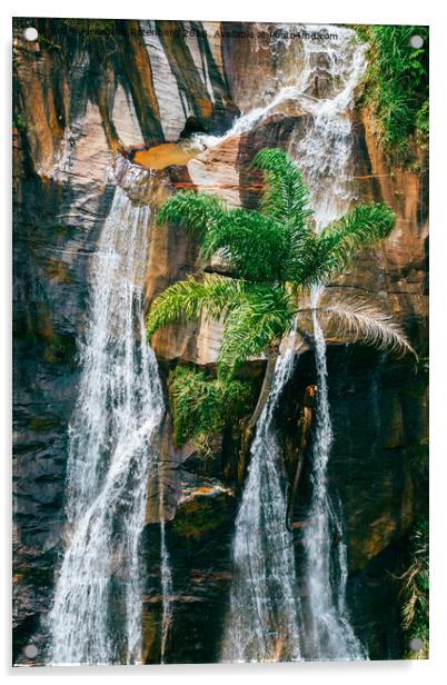 Majestic waterfall in Minas Gerais, Brazil deep in the jungle Acrylic by Alexandre Rotenberg
