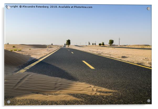 Al Qudra cycling track, UAE Acrylic by Alexandre Rotenberg