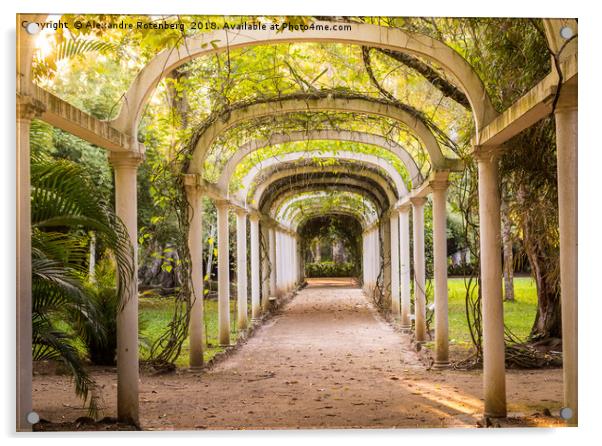 Tropical arches Acrylic by Alexandre Rotenberg