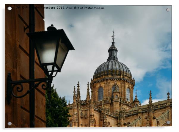 Old Cathedral, Salamanca, Spain  Acrylic by Alexandre Rotenberg