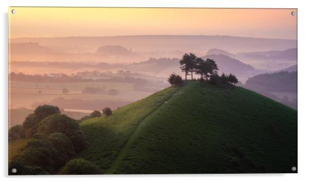 Colmer's Hill Acrylic by Daniel Farrington