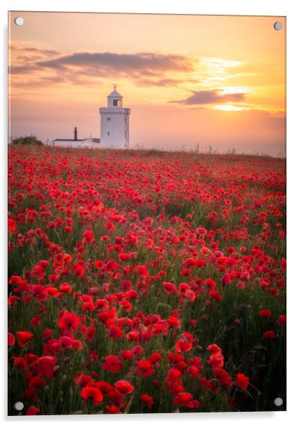 White Cliffs of Dover Poppy Field (For Charity) Acrylic by Daniel Farrington