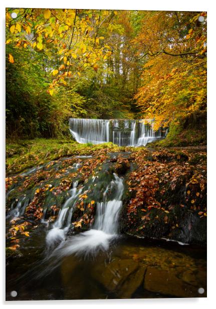 Stock Ghyll Force, Ambleside. Acrylic by Daniel Farrington