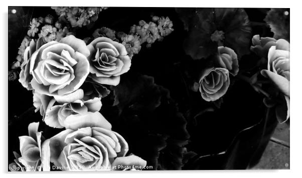 Black & White Garland Acrylic by Juli Davine