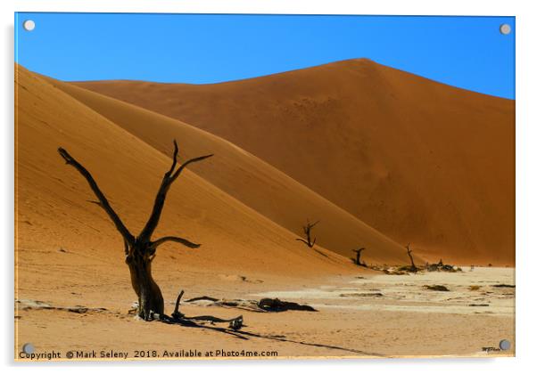 Red Dunes Acrylic by Mark Seleny