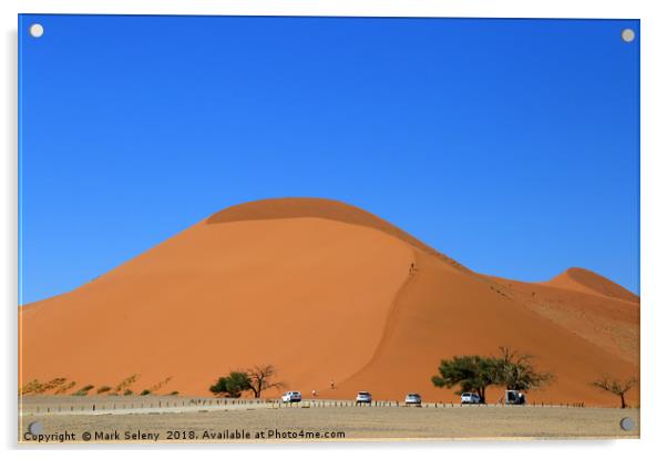 Dune 45 Acrylic by Mark Seleny