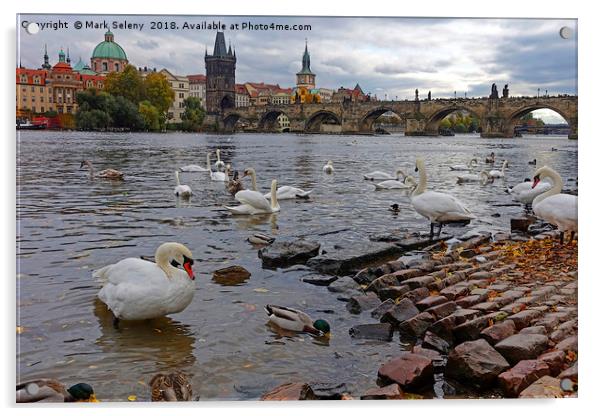 Swans and Karluv most                              Acrylic by Mark Seleny