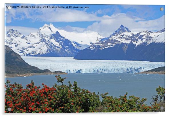 Perito Moreno Glacier  Acrylic by Mark Seleny