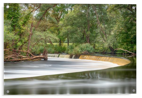 Horseshoe Falls  Acrylic by Tony Keogh