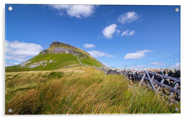 Pen-Y-Ghent in the Yorkshire Dales  Acrylic by Tony Keogh