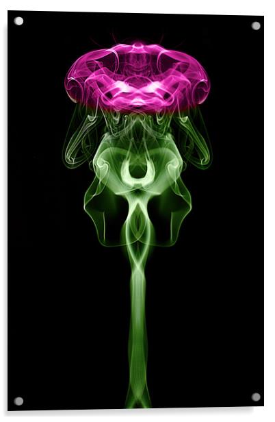 Smoke art Thistle Acrylic by Donnie Canning