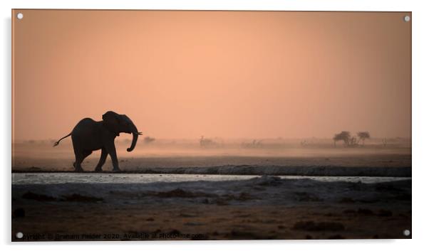 Elephant in the dust Acrylic by Graham Fielder