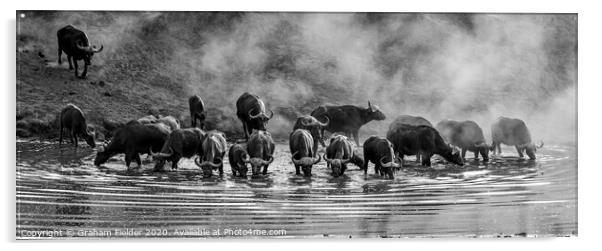 Buffalo Dawn Acrylic by Graham Fielder