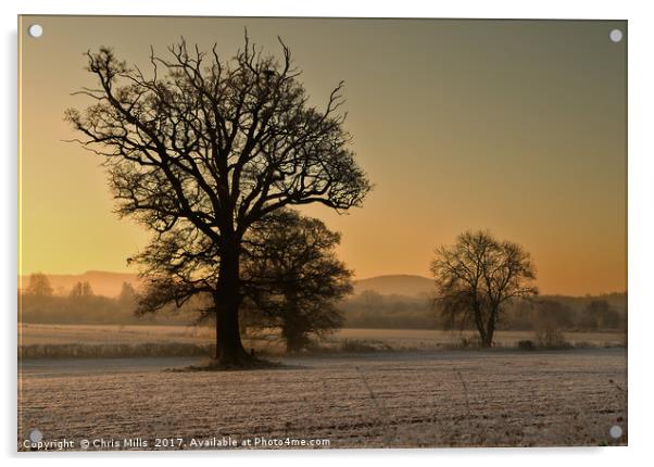 Frosty Sunrise Acrylic by Chris Mills