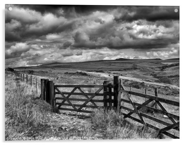 Dartmoor Mono Landscape Acrylic by Chris Mills