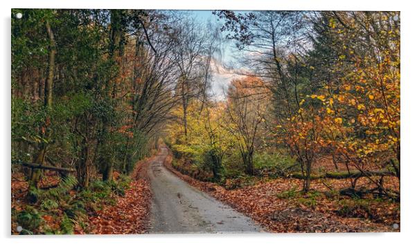 Autumn on the Weald Acrylic by Richard May