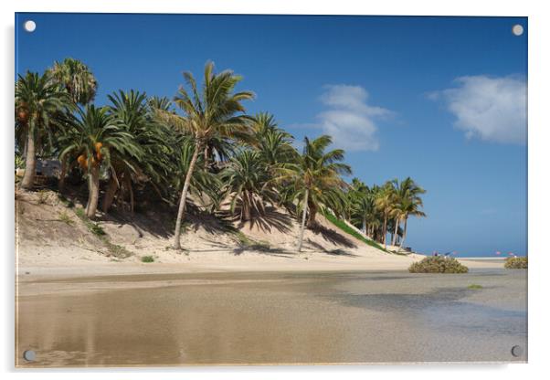 Coconut Palms at the Sotavento Lagoon, Fuerteventura Acrylic by Ashley Wootton