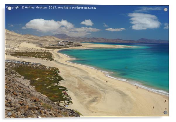 Playa de Sotavento, Fuerteventura Acrylic by Ashley Wootton