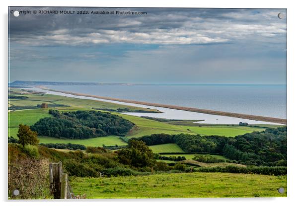 Chesil Beach and the Fleet Dorset Acrylic by RICHARD MOULT