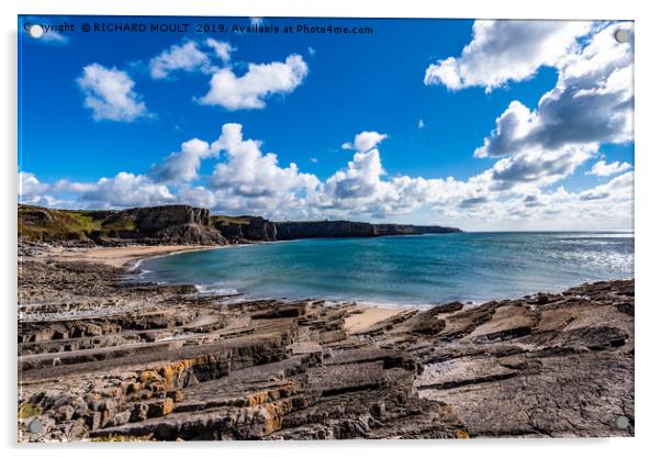 Fall Bay  Acrylic by RICHARD MOULT