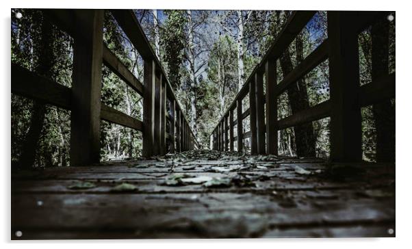 Footbridge leading to the forest Acrylic by Juan Ramón Ramos Rivero