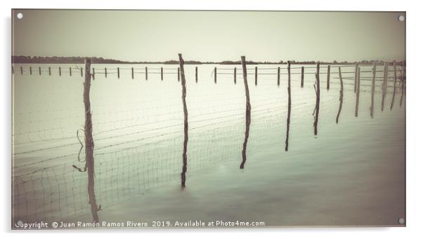 Wooden post and wire fence on a lake in black and  Acrylic by Juan Ramón Ramos Rivero