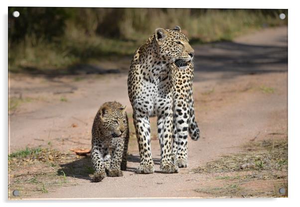 Leopard and cub Acrylic by Villiers Steyn