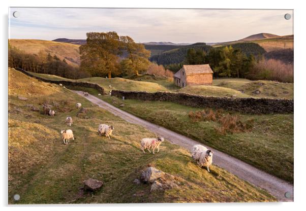 Springtime in the Peak District Acrylic by David Semmens