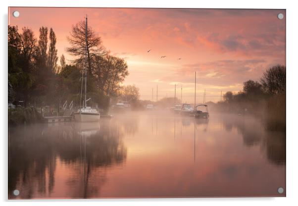 Sunrise on the River Frome Acrylic by David Semmens