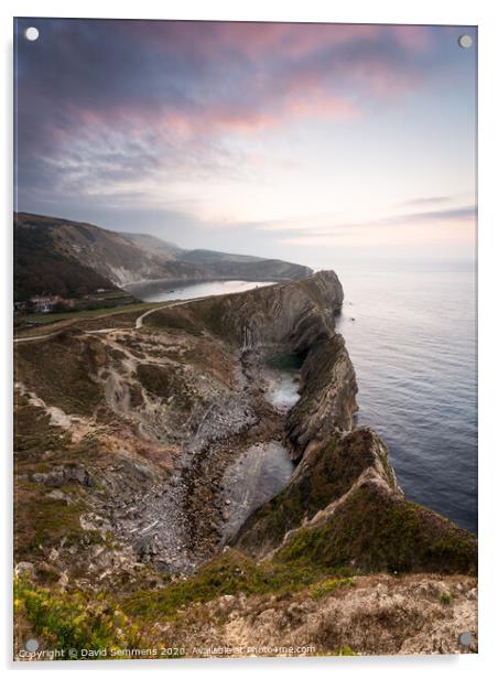 Lulworth Cove Acrylic by David Semmens