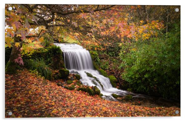 Autumn Waterfall Acrylic by David Semmens