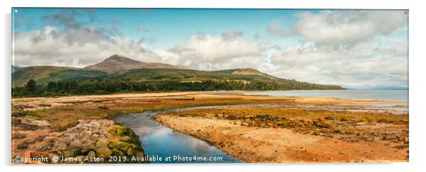 Looking Towards Goat fell from Brodick  Acrylic by James Aston