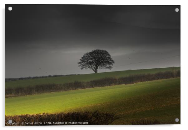 The Lone Tree of the Wolds  Acrylic by James Aston