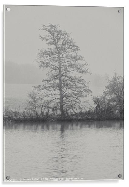 The Tree by the Lake  Acrylic by James Aston