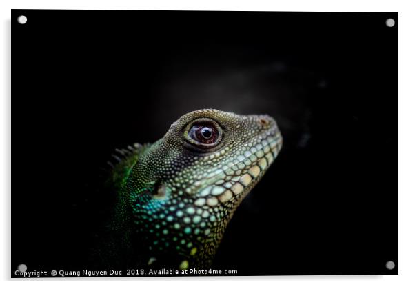 Iguana Eyes Side view Acrylic by Quang Nguyen Duc