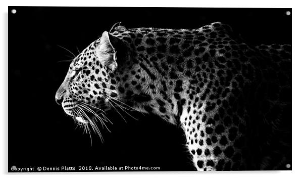 Leopard Stare Acrylic by Dennis Platts